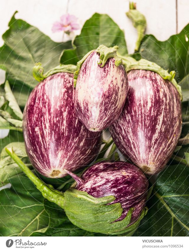 Striped aubergines on green leaves Food Vegetable Nutrition Organic produce Vegetarian diet Diet Style Design Healthy Eating Garden Nature Summer Autumn Plant