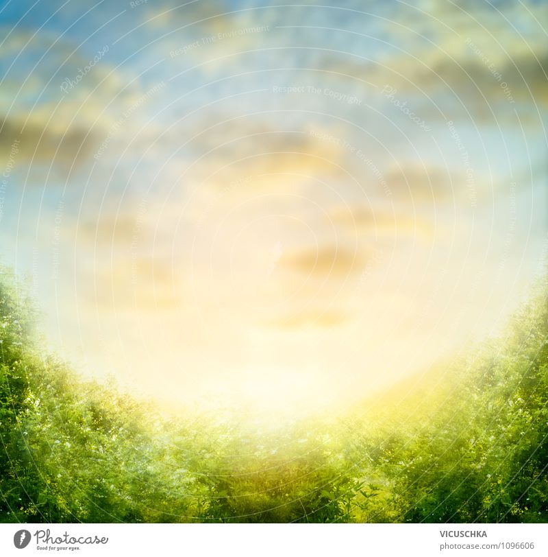 Summer nature with sky, blurred background - a Royalty Free Stock Photo  from Photocase