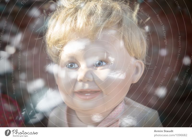 Doll head (creepy) with reflection Lifestyle Style Design Beautiful Playing Androgynous Homosexual Child Baby Toddler Girl Boy (child) Head 3 - 8 years Infancy