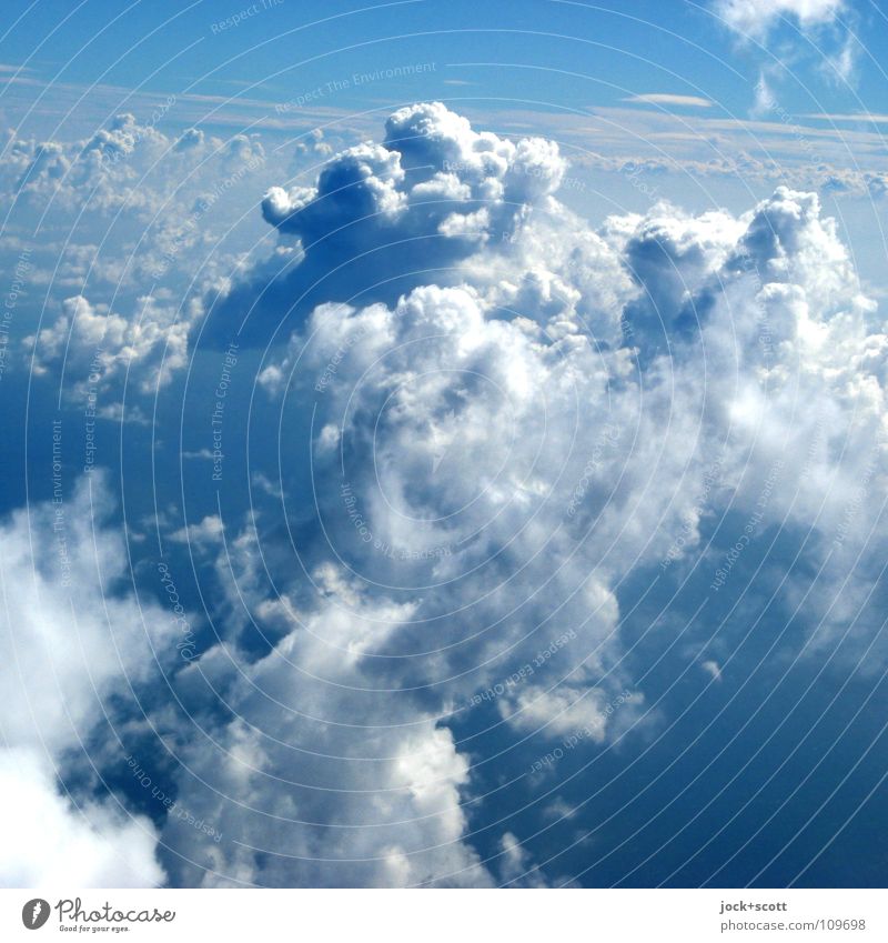 aerosol Air Clouds Climate Beautiful weather Flying Cuddly Above Blue Authentic Wanderlust Freedom Horizon Inspiration Optimism Steam Cloud formation