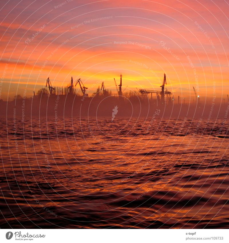 Cranes in Love Sunset Port of Hamburg Romance Ocean Jetty Fog Dusk Beautiful Harbour Sky