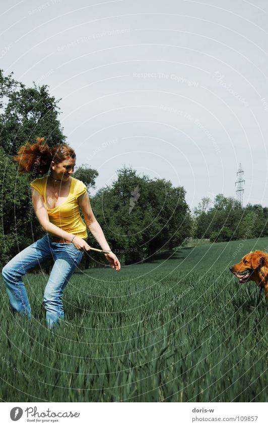 the walk with the dog Dog Golden Retriever Pelt Woman Red-haired Freckles Yellow Field Meadow Grass Tree Stick Joy Colour Playing Walking Laughter Movement