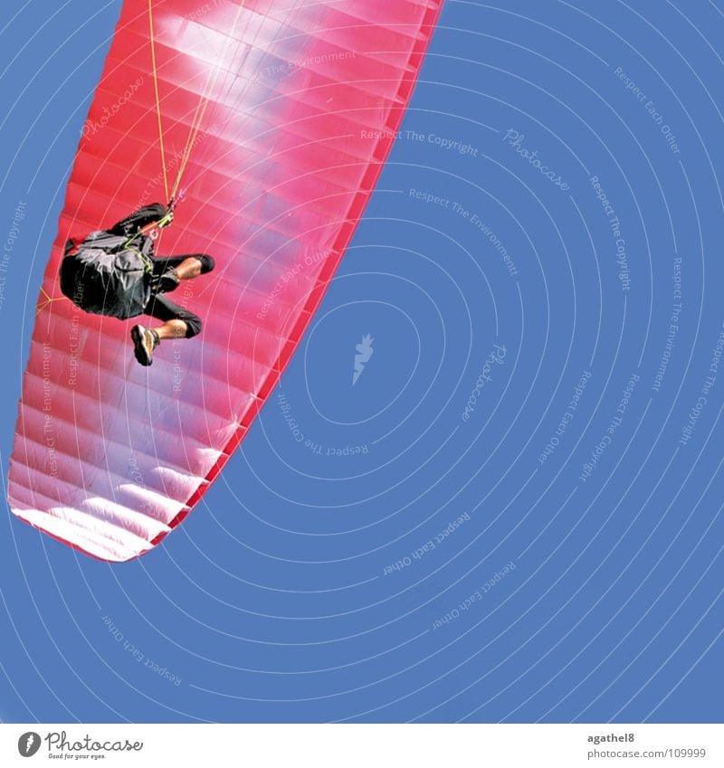 high achiever Paragliding Pink Glide Funsport Blue Sky Beautiful weather Flying Aviation