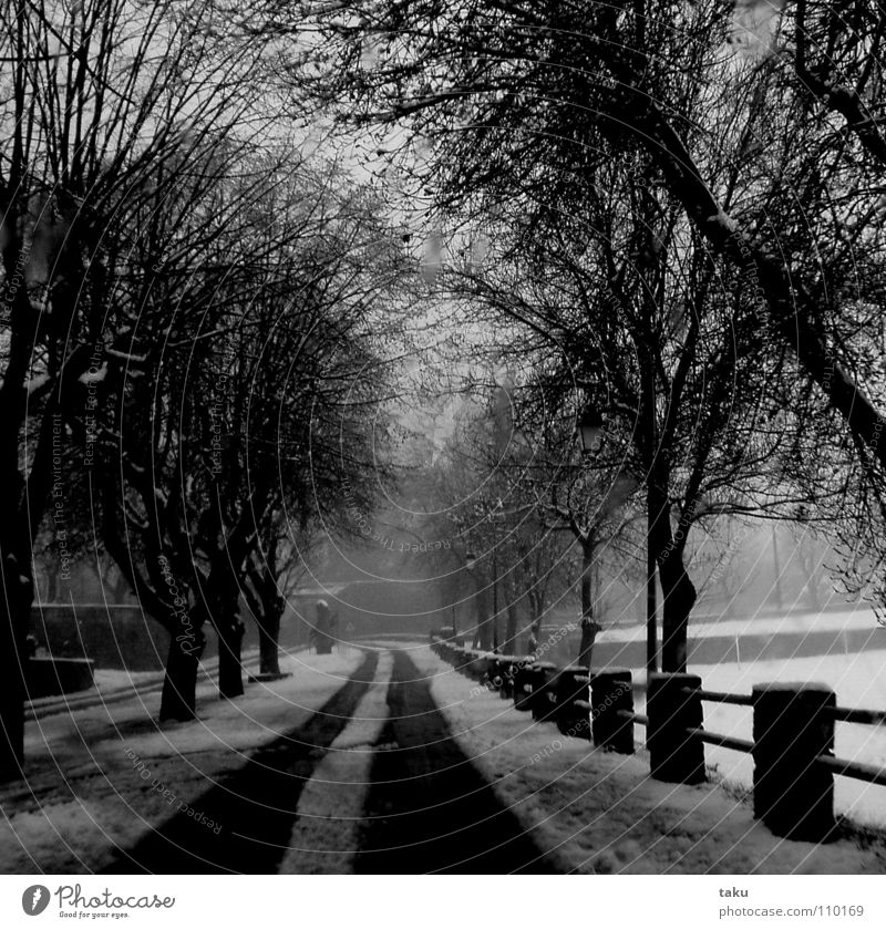 WINTER IN MAY Winter Provence May Tree Avenue Fence Tracks Surprise highly proven onset of winter Snow snow road Centrifuge