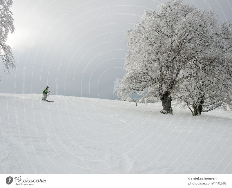 the skis already taken from the cellar ? Winter Cold Light Monochrome Hoar frost White Vacation & Travel Winter sports Winter vacation Black Forest Deep snow