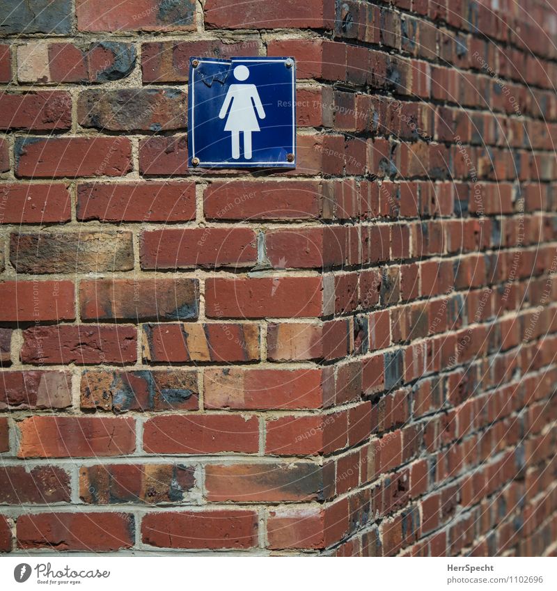 Quiet place Manmade structures Building Facade Sign Signage Warning sign Old Trashy Gloomy Blue Brown Toilet Ladies' bathroom Broken Brick Brick wall