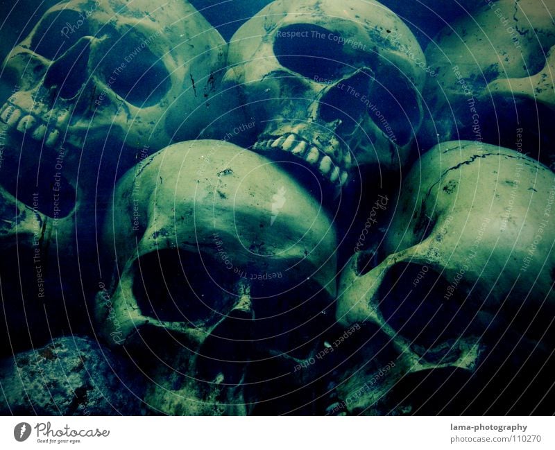 Skulls (in depth II) skull Skeleton Brain and nervous system Disastrous Poisoned Drown Ocean Bottom of the sea Algae Creepy Horror film Fear Nightmare Grave