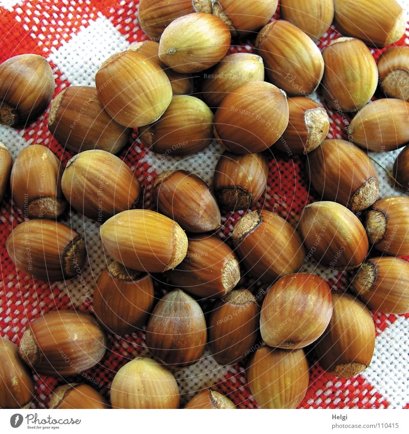 many ripe hazelnuts lie on a red-white-checked fabric blanket Nut Hazelnut Autumn Picked Oval Brown Side by side Nutrition Lie Heap Mature Delicious tablecloth