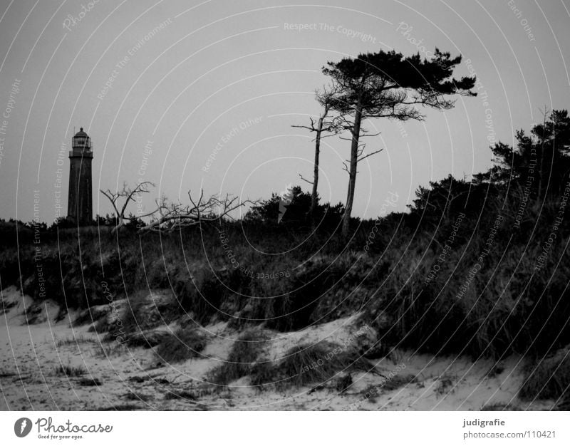 western beach Lake Lighthouse Ocean Beach Coast Grass Navigation Orientation Salty Vacation & Travel Navigation mark Fischland-Darss-Zingst Prerow Western Beach