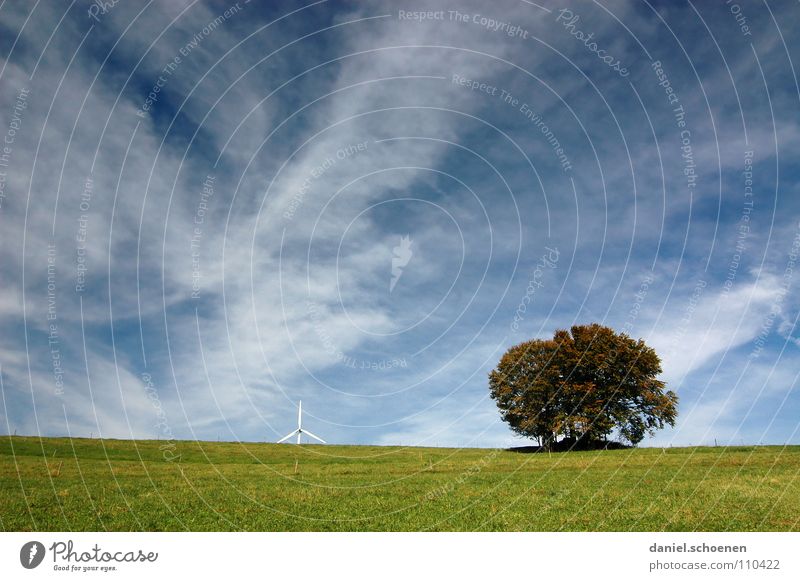 the tree, the sky and wind energy Autumn White Clouds Cirrus Beautiful Meadow Grass Horizon Tree Green Hiking Black Forest Sky Blue Weather Wind