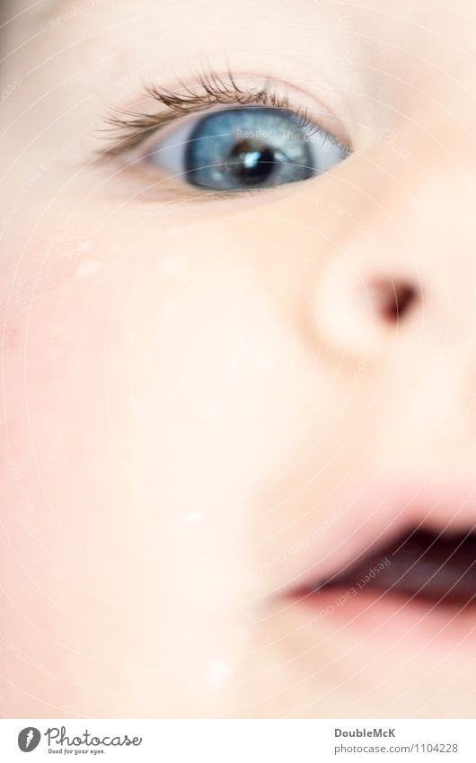 Amazed toddler in detail with open mouth and big eye Human being Child Baby Toddler Infancy Head Face Eyes Nose Mouth Lips 1 0 - 12 months 1 - 3 years smile