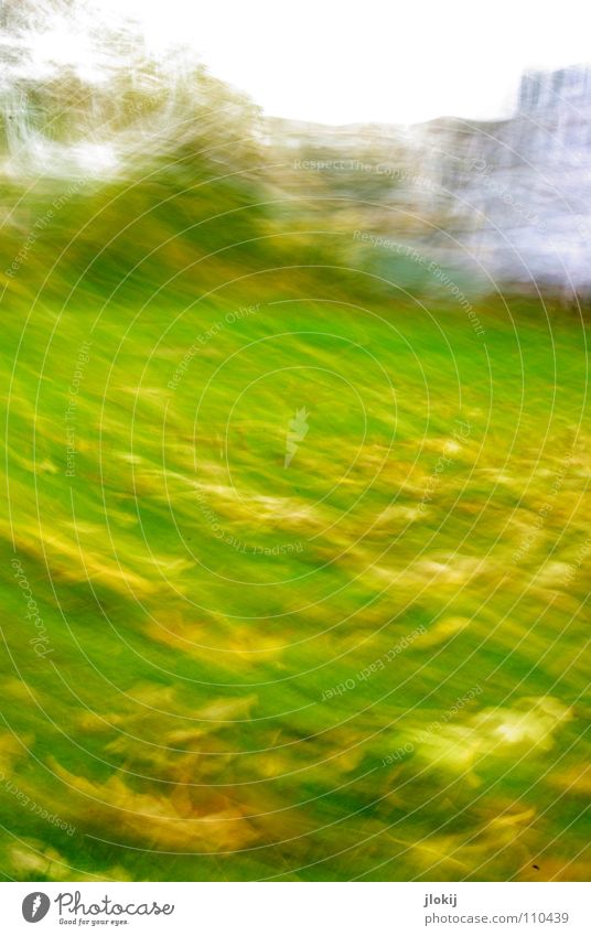 *wipeswipe* Meadow Leaf Grass House (Residential Structure) Park Autumn Tree Blur Window Facade Waves Short Garden Movement Oak tree Lawn motion blur