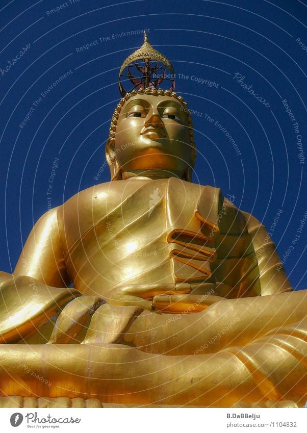 Buddha Safari Body 1 Human being Art Work of art Sculpture Culture Tourist Attraction Landmark Monument Gold Discover Relaxation Vacation & Travel Esthetic