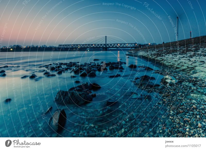 Other side of town Landscape Beautiful weather River Rhine Bridge Blue Pink Black Calm Low water Rhine bridge Colour photo Subdued colour Exterior shot Evening