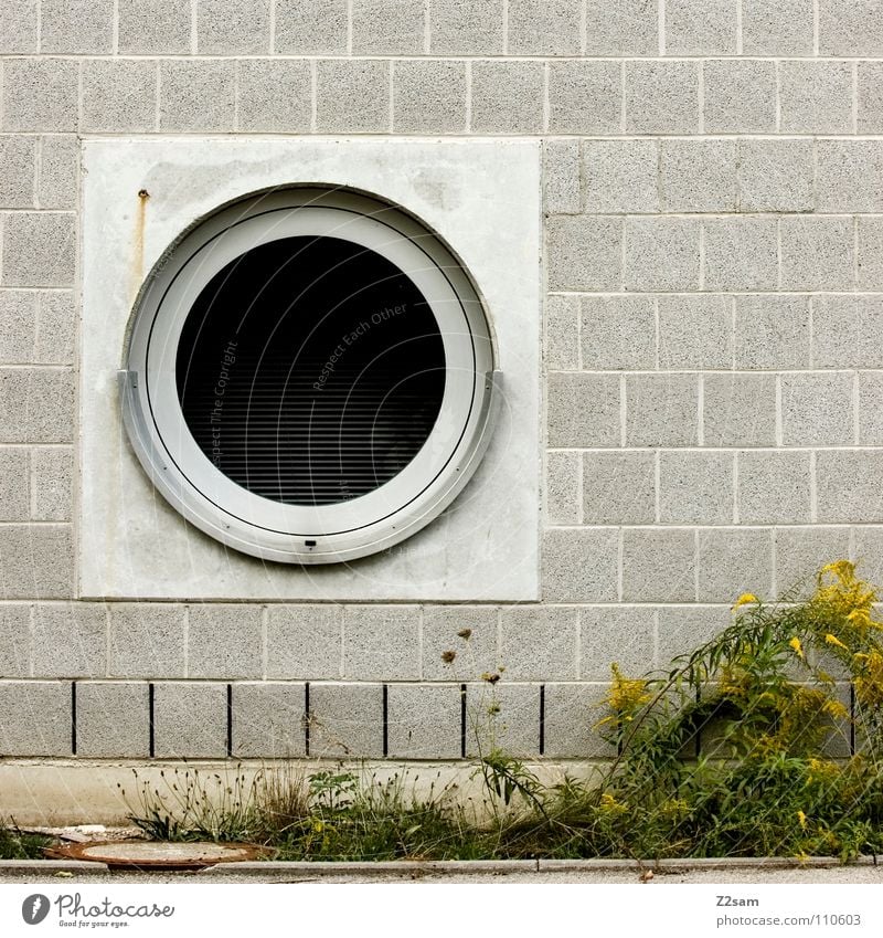 hatch or washing machine Hatch Window Graphic Simple Brick Wall (building) Geometry Green Plant Meadow Concrete Growth Overgrown Black Opening Entrance Way out