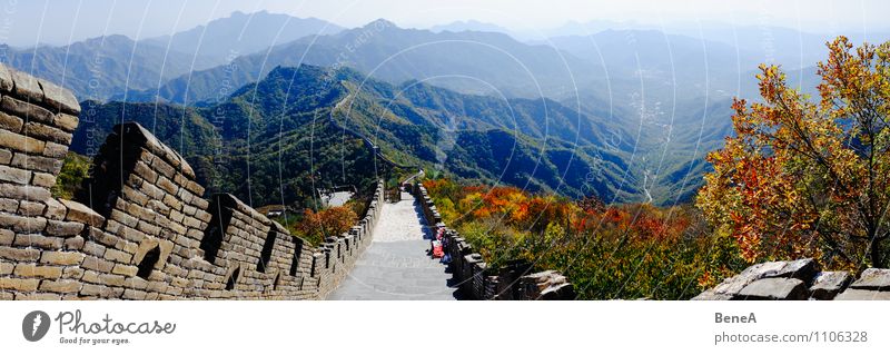 Great Wall Vacation & Travel Far-off places Sightseeing Architecture Autumn Beautiful weather Tree Hill Mountain Deserted Manmade structures Building