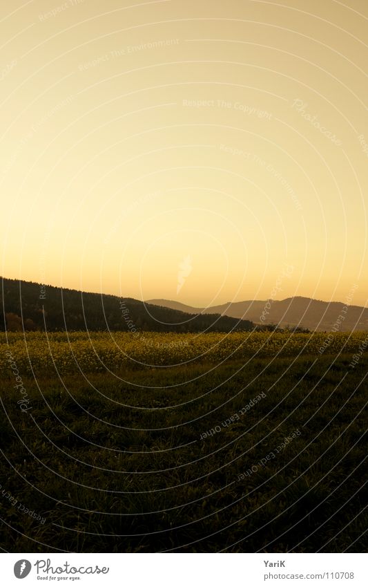 autumn red Sunset Fog Twilight Evening Field Canola field Hill Forest Meadow Horizon Autumn Cold Grass Dark Orange Dusk Mountain chain of hills Sky