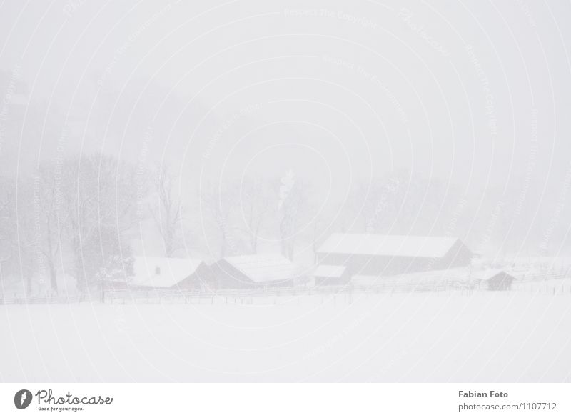 Farm in a blizzard Elements Winter Snowfall Field White Cold Colour photo Exterior shot Day Long shot