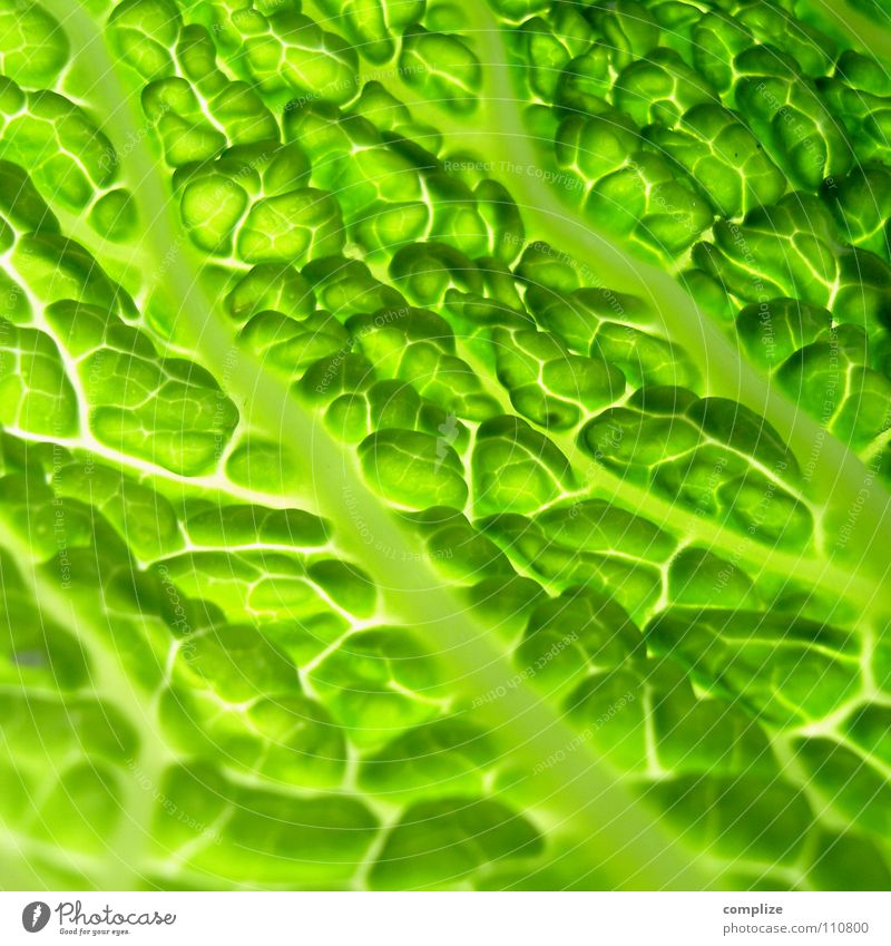savoy cabbage Savoy cabbage Cabbage Cooking Kitchen Healthy Healthy Eating Fresh Salad leaf Nutrition Green Vessel Rachis Light Lighting Close-up