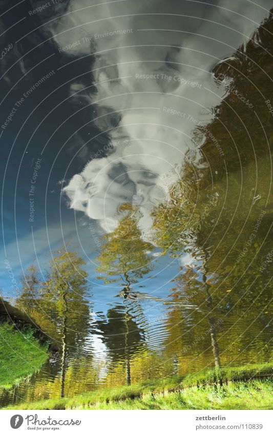 Unclear landscape Surface Pond Lake Reflection Tree Avenue Forest Clouds Autumn Bird Summer River Brook Garden Park Water Castle moat Landscape Sky