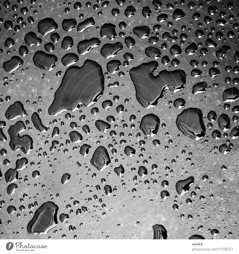 Dark Matter Water Drops of water Fluid Glittering Wet Under Tar paper Black & white photo Exterior shot Close-up Detail Abstract Pattern Structures and shapes
