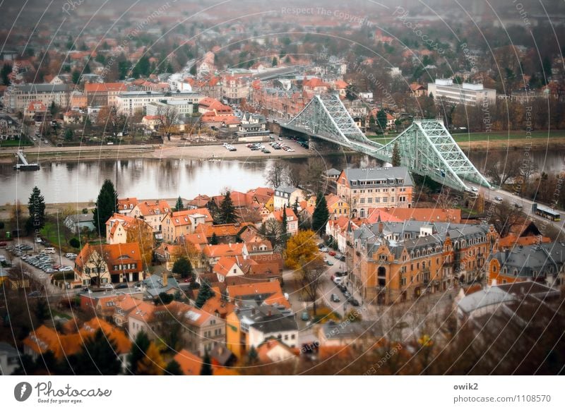Dresden Loschwitz Tourism City trip Tree River Elbe Nasty surprise Villa Town Populated House (Residential Structure) Facade Roof Street Car Serene Calm Longing