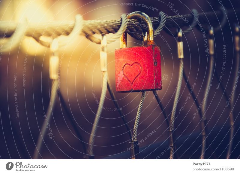 lock of love Lifestyle Bridge Love padlock Padlock Display of affection Hang Red Sympathy Friendship Together Loyalty Romance Rust Subdued colour Exterior shot