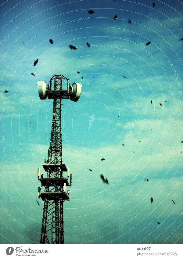 case Autumn Leaf Transmission power Seasons Industry To fall leaf fall Tower broadcasting tower Broadcasting