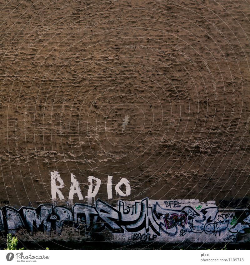BerlinRadio Joy Technology Work of art Radio (broadcasting) Radio (device) Plant Foliage plant Deserted Wall (barrier) Wall (building) Stone Concrete Sign