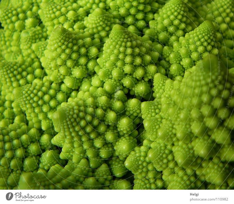 Detail of a Romanesco cabbage Cabbage Cauliflower Broccoli Nutrition Food Vegetarian diet Vegan diet Plant Healthy Vitamin Cooking Tree Delicious Green Chaos