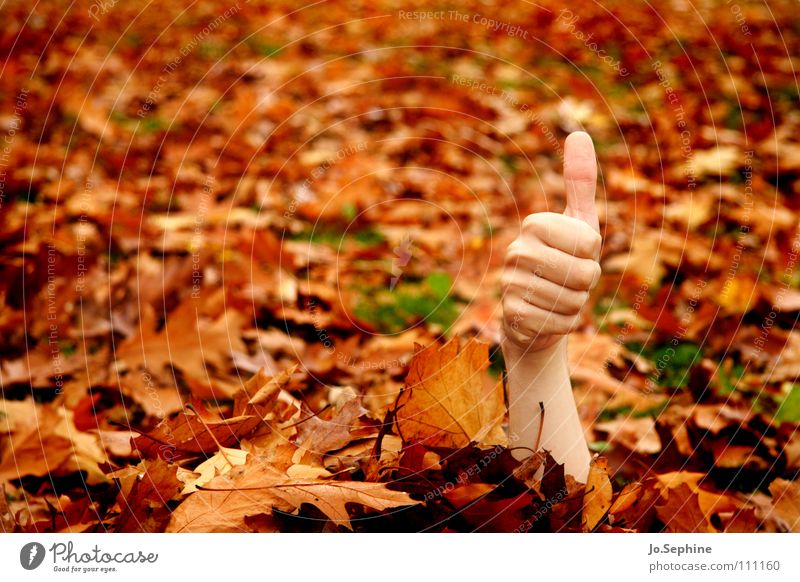 I feel good! Symbols and metaphors Hand Sign Optimism Success Thumbs up Positive OK Indicate Sign language Communicate communication Gesture Fingers