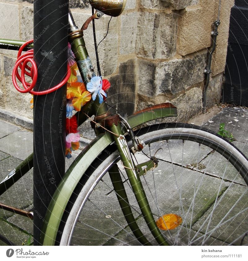 winter flowers Bicycle Castle Means of transport Street Metal Rust Old Movement Gloomy Multicoloured Gray Red To console Loneliness Colour Stagnating Transience