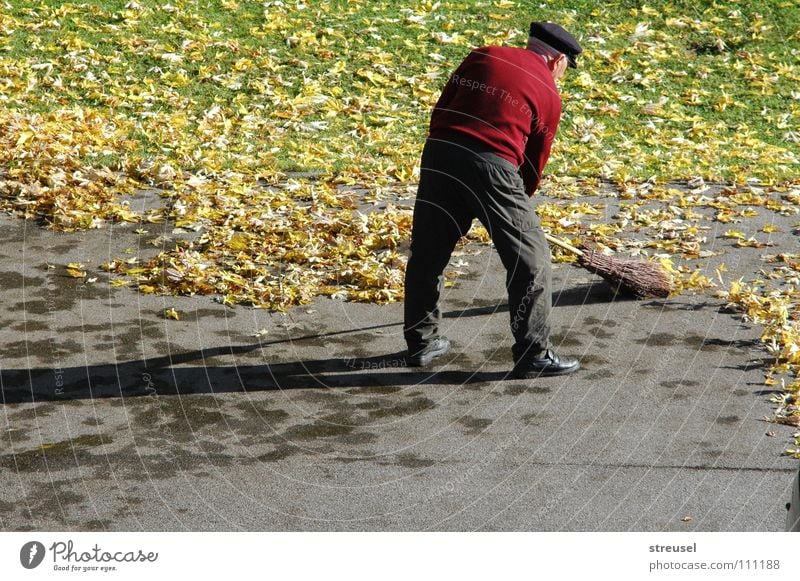 autumn brush Happy Life Harmonious Contentment Calm Handcrafts Garden Work and employment Profession Craft (trade) Retirement Broom Human being Masculine Man