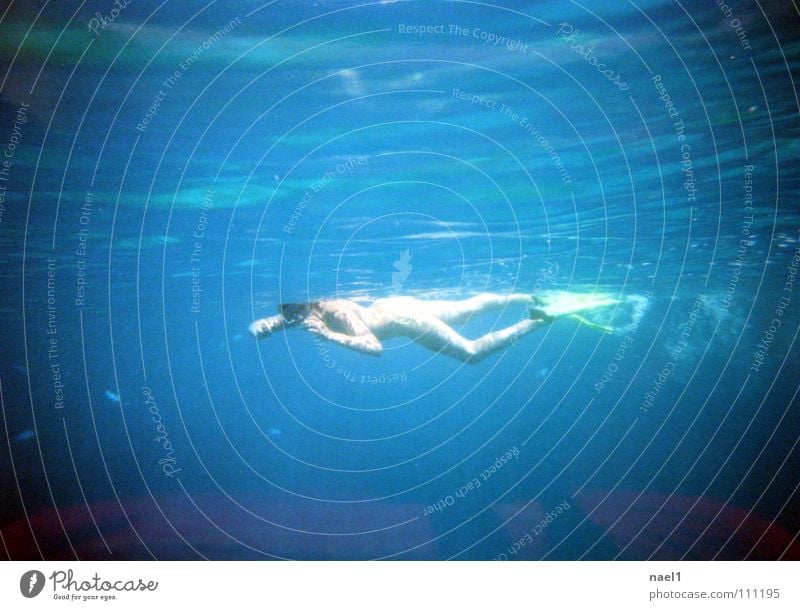 snorkeling Ocean Sports Human being Feminine Body Skin 1 Water Lake Bikini Swimming & Bathing Movement Relaxation Esthetic Healthy Wet Thin Warmth Blue Green