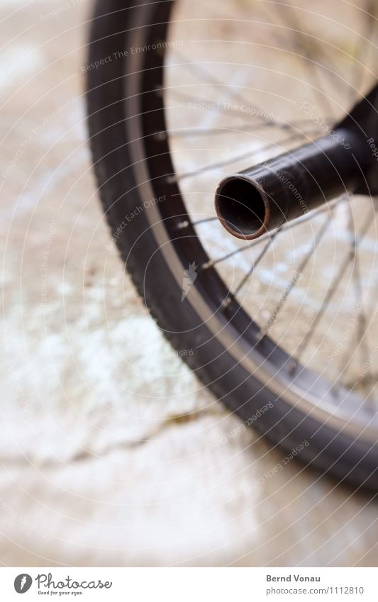 Peg to the roots Bicycle Bright Dynamics BMX bike Axle Extension Steel Iron-pipe Wheel rim Tire Spokes Trick Stunt Black Brown lensbaby Distorted Lens Round