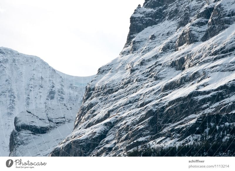 oh, fear, the wall! Nature Beautiful weather Rock Alps Mountain Snowcapped peak Cold Steep face Wall of rock Ice Alpine Schreckhorn Exterior shot Deserted
