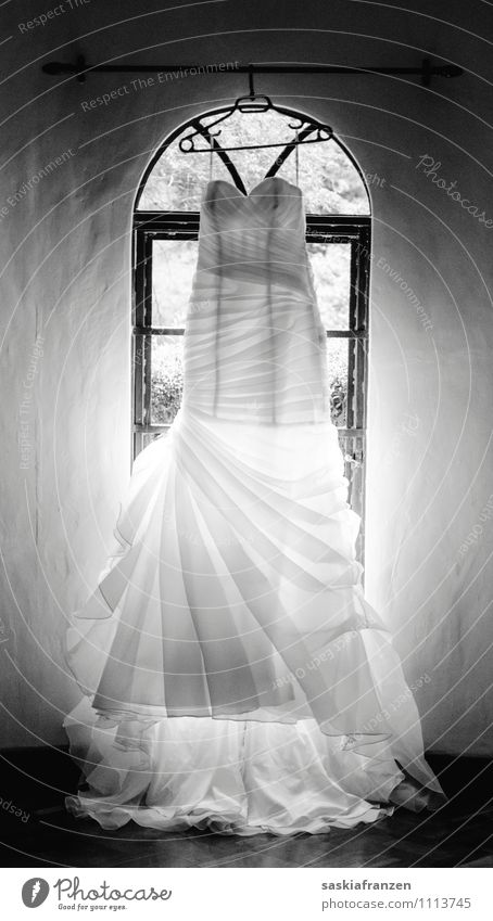 The day. Lifestyle Elegant Feasts & Celebrations Wedding Fashion Clothing Dress Beautiful White Emotions Love Loyalty Eternity Wedding dress Black & white photo