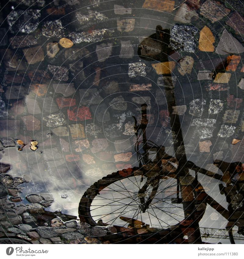 Old love doesn't rust Puddle Bicycle Logistics Mountain bike Motorcyclist Lantern Autumn Coat Reflection House (Residential Structure) Flat (apartment) Tenant