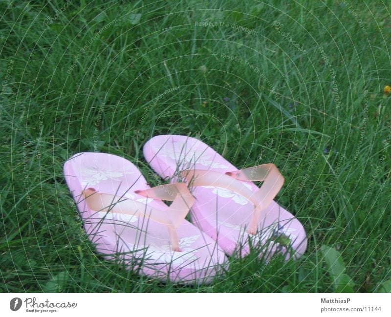 Flip flop - modern bathing slippers Flip-flops Footwear Pink Summer Rubber Meadow Grass Green Salto Fiasco Leisure and hobbies mountain pine Swimming & Bathing