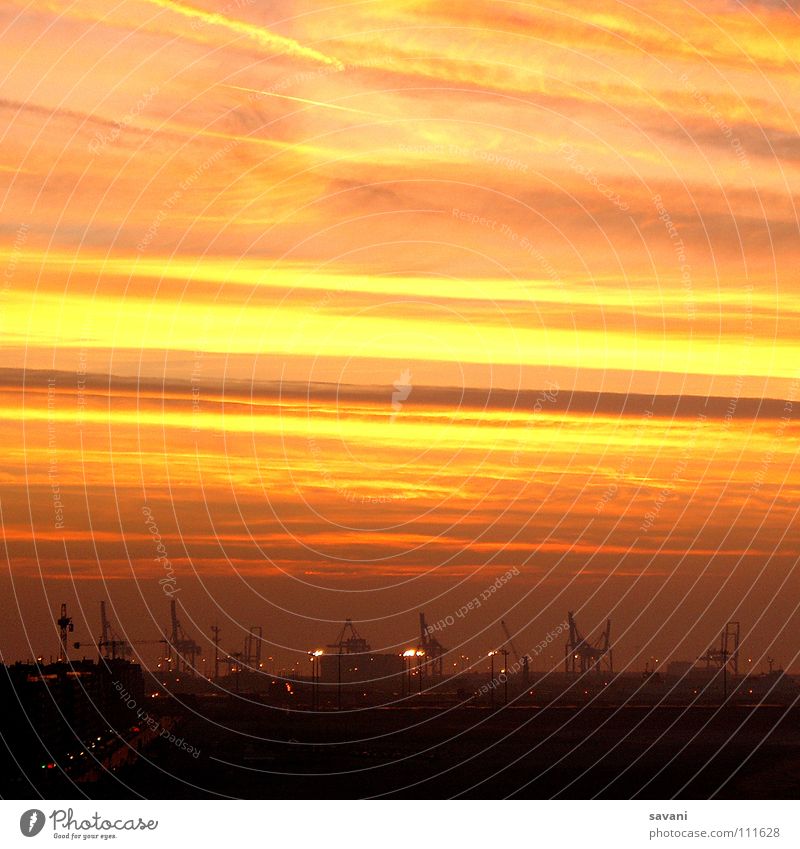 Harbour at sunset Sun Ocean Industry Logistics Technology Landscape Sky Clouds Sunrise Sunset coast Port City Transport Navigation Container ship Stripe Yellow