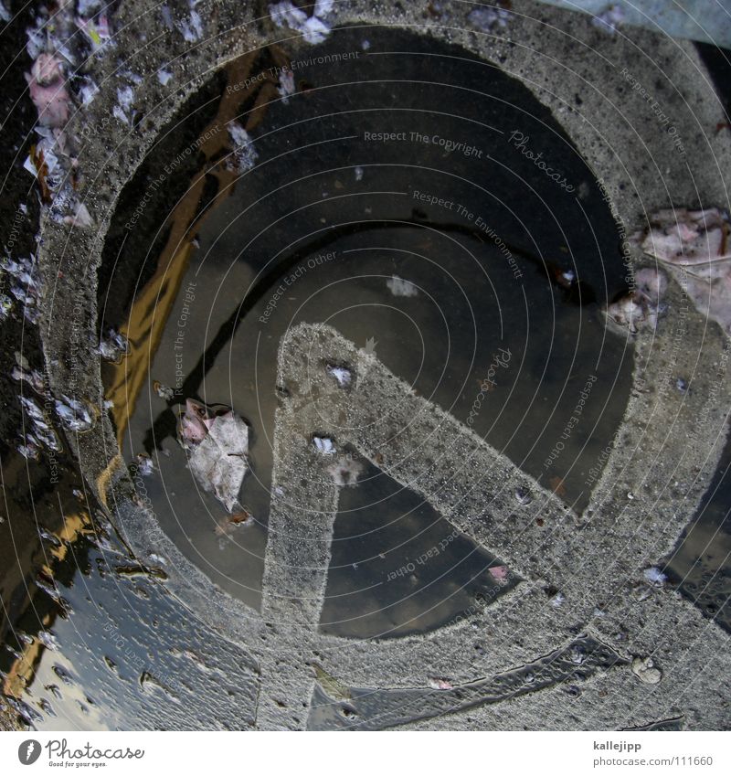 clearance sale II Puddle Water reflection Detail Partially visible Section of image Ground markings Street lamp Wet Damp Water puddle