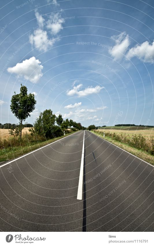 straight ahead Landscape Sky Clouds Summer Beautiful weather Tree Field Transport Traffic infrastructure Street Lanes & trails Line Success Infinity Discover
