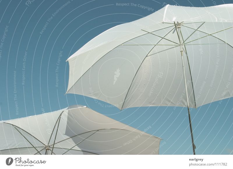 two for cloudless Sunshade White Summer 2 Innocent Air Ease Easy Brilliant Rain Exciting Delicate Exterior shot Blue Sky Beautiful weather Shadow soaring Detail