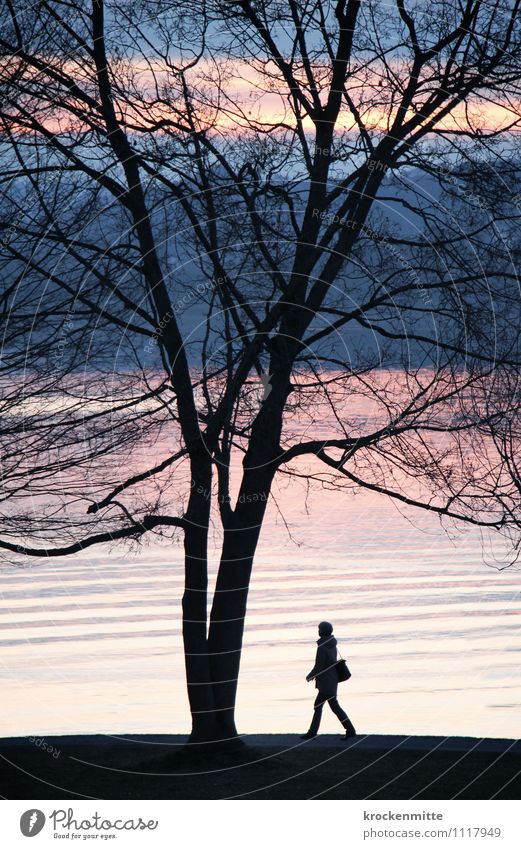 swell Calm Tree Lakeside Lake Constance Bag Walking Blue Pink Black Moody Beautiful To go for a walk Promenade Silhouette Branch Spring Waves Swell Romance