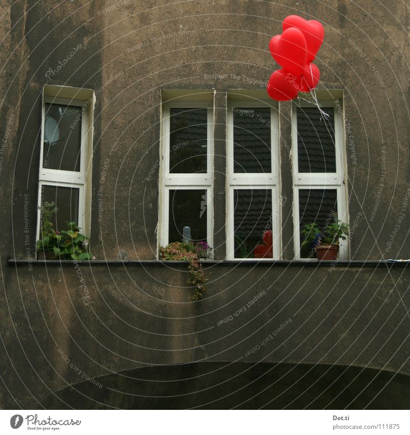 heartily Living or residing House (Residential Structure) Birthday Pot plant Town Facade Window Balloon Heart Kitsch Gloomy Gray Red Emotions Infatuation Hope