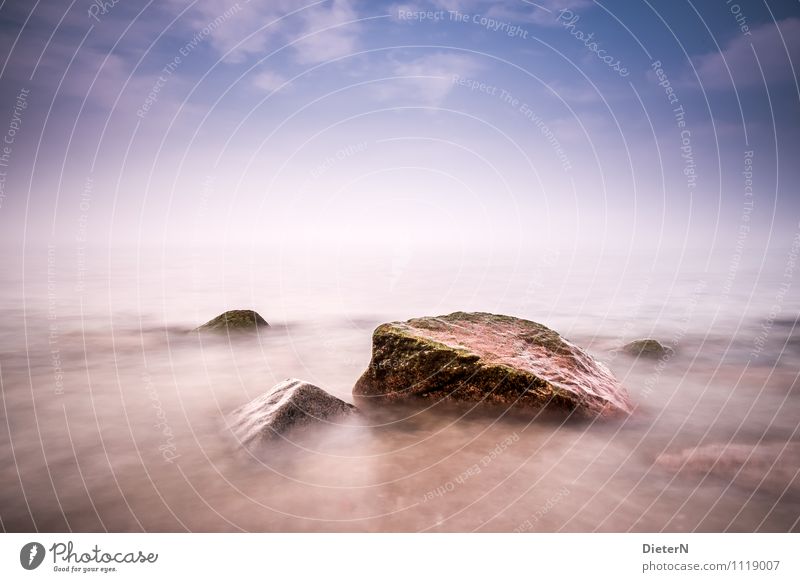 Stones in the fog Beach Ocean Landscape Water Sky Clouds Wind Fog Coast Baltic Sea Blue Violet White Heiligendamm Mecklenburg-Western Pomerania Colour photo