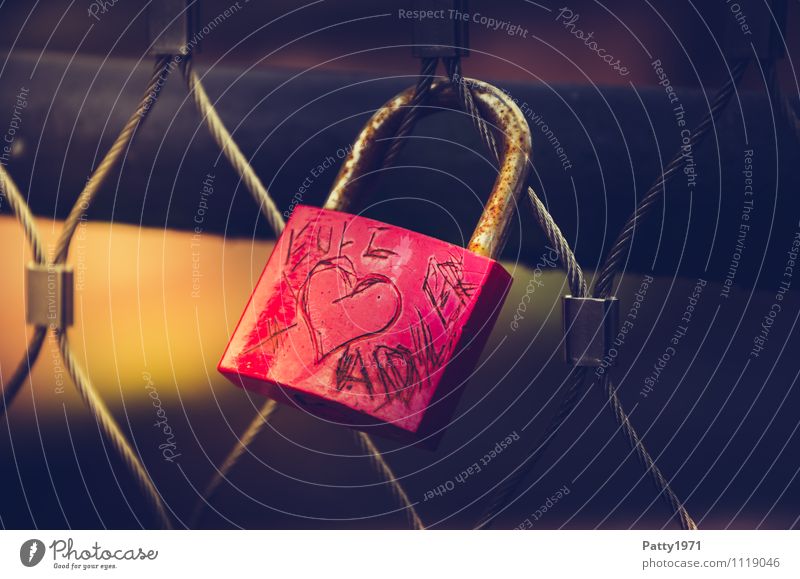 owl + eagle Lifestyle Bridge Love padlock Padlock Display of affection Hang Red Sympathy Friendship Together Romance Rust Loyalty Subdued colour Exterior shot
