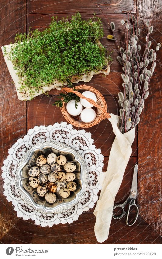 Easter composition of eggs, cress and catkins on wooden table Decoration Table Scissors Spring Paper Wood Metal Natural Brown Green Tradition Basket bobwhite