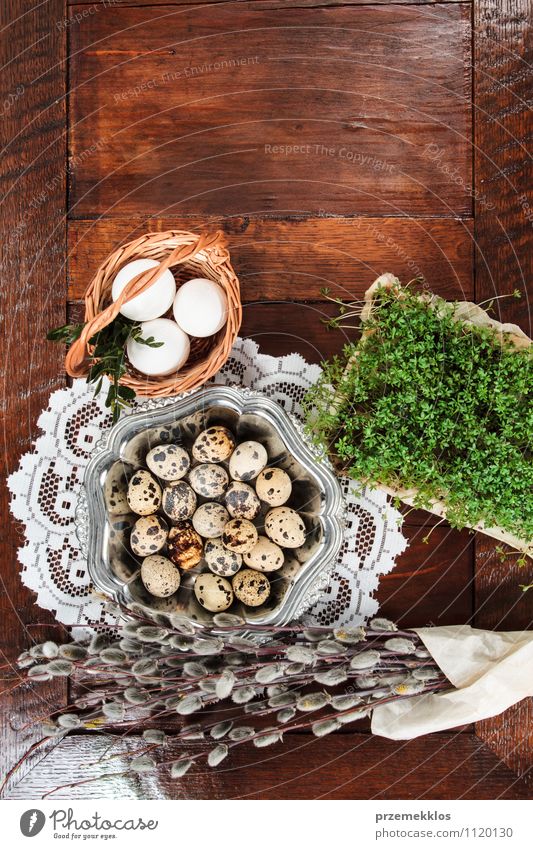 Easter composition of eggs, cress and catkins on wooden table Decoration Table Spring Paper Wood Metal Natural Brown Green Tradition Basket bobwhite candid