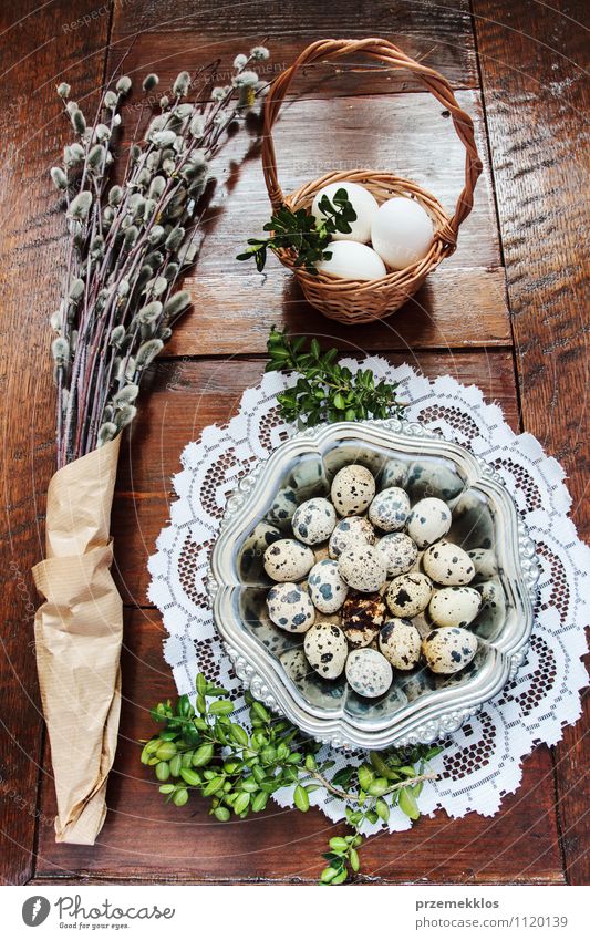 Easter composition of eggs and catkins on wooden table Decoration Table Spring Paper Wood Metal Natural Brown Green Tradition Basket bobwhite candid Dish Egg